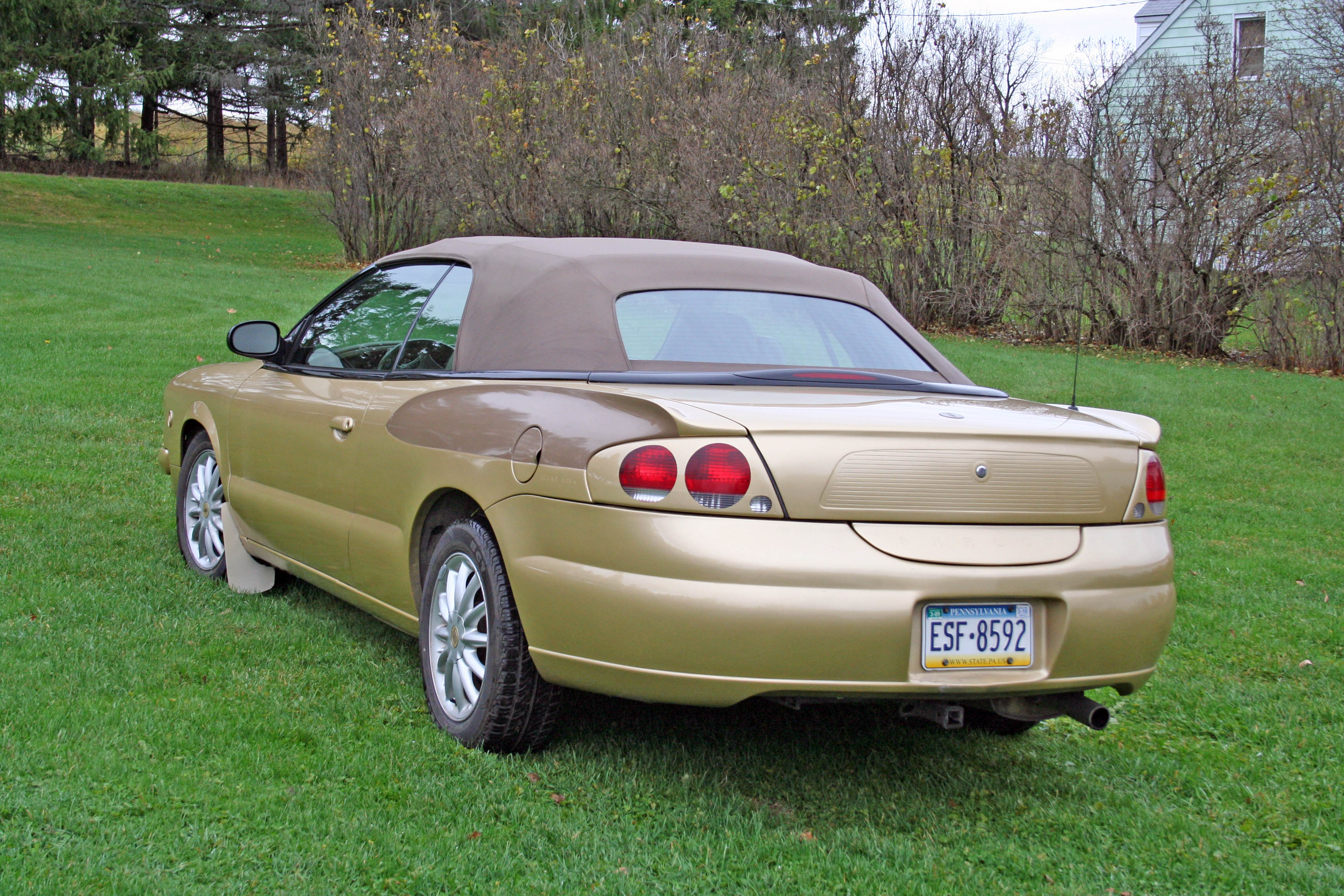 50th_hawk_07 (1142K)