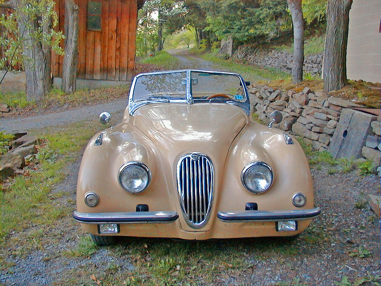 1986 XK120 Kit Car - rear view