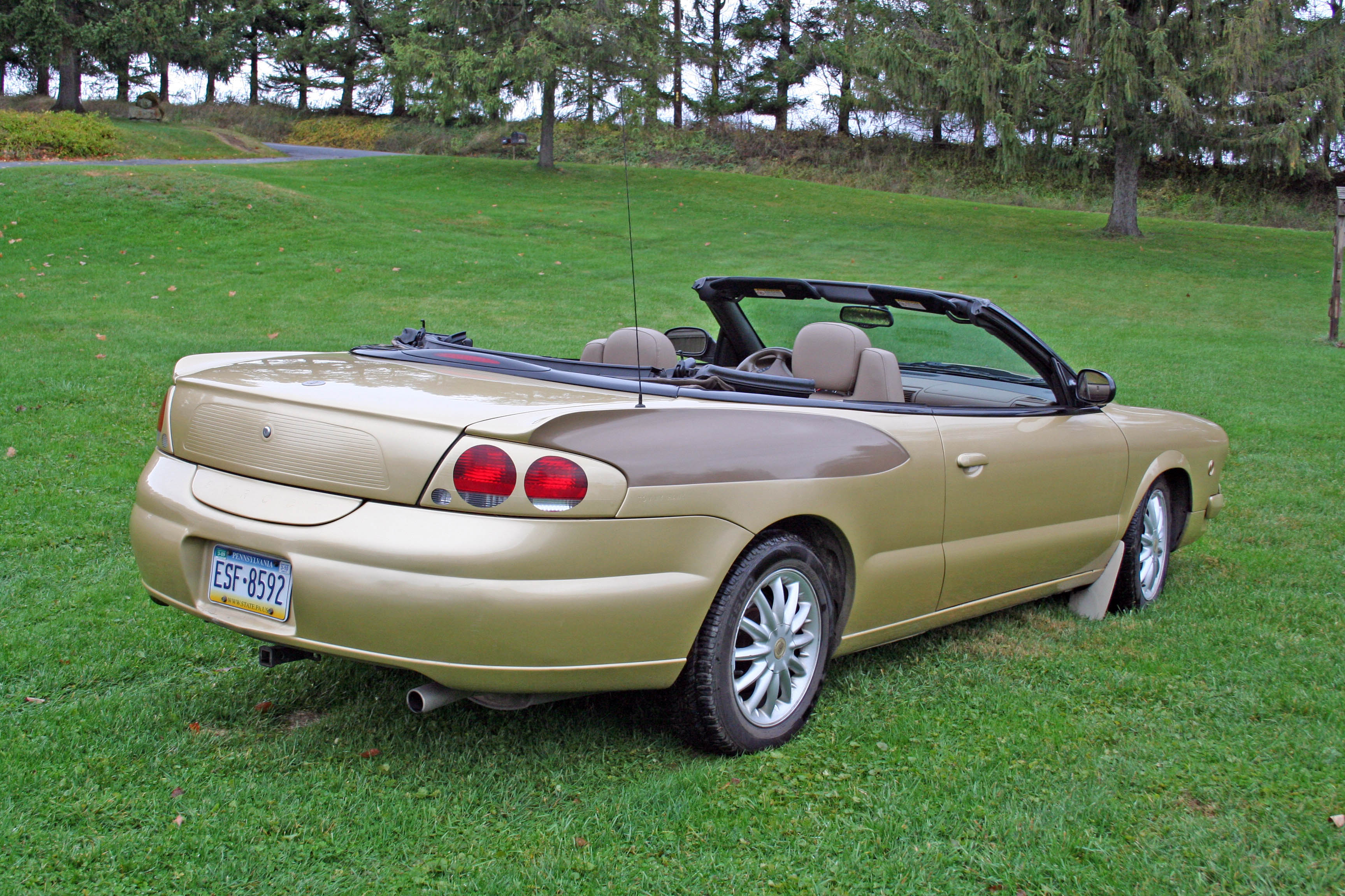 50th Anniversary Hawk - rear view