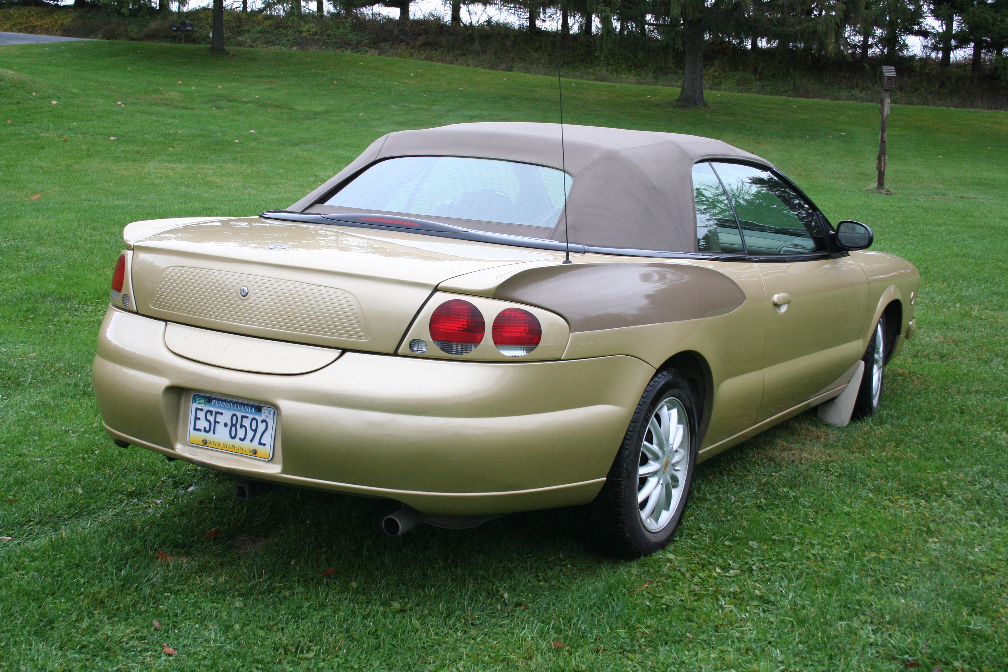 50th Anniversary Hawk - front detail