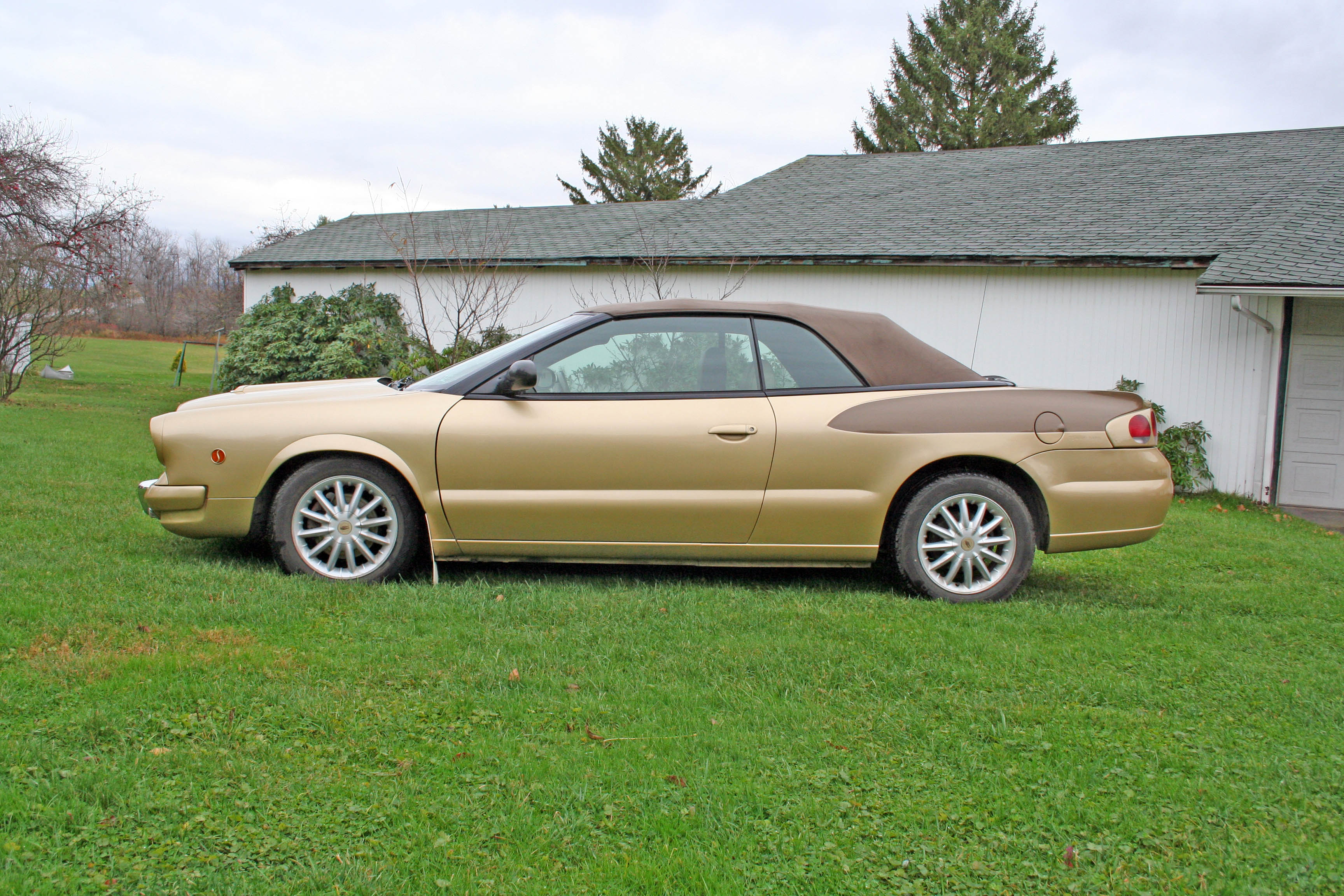 50th Anniversary Hawk - gauges