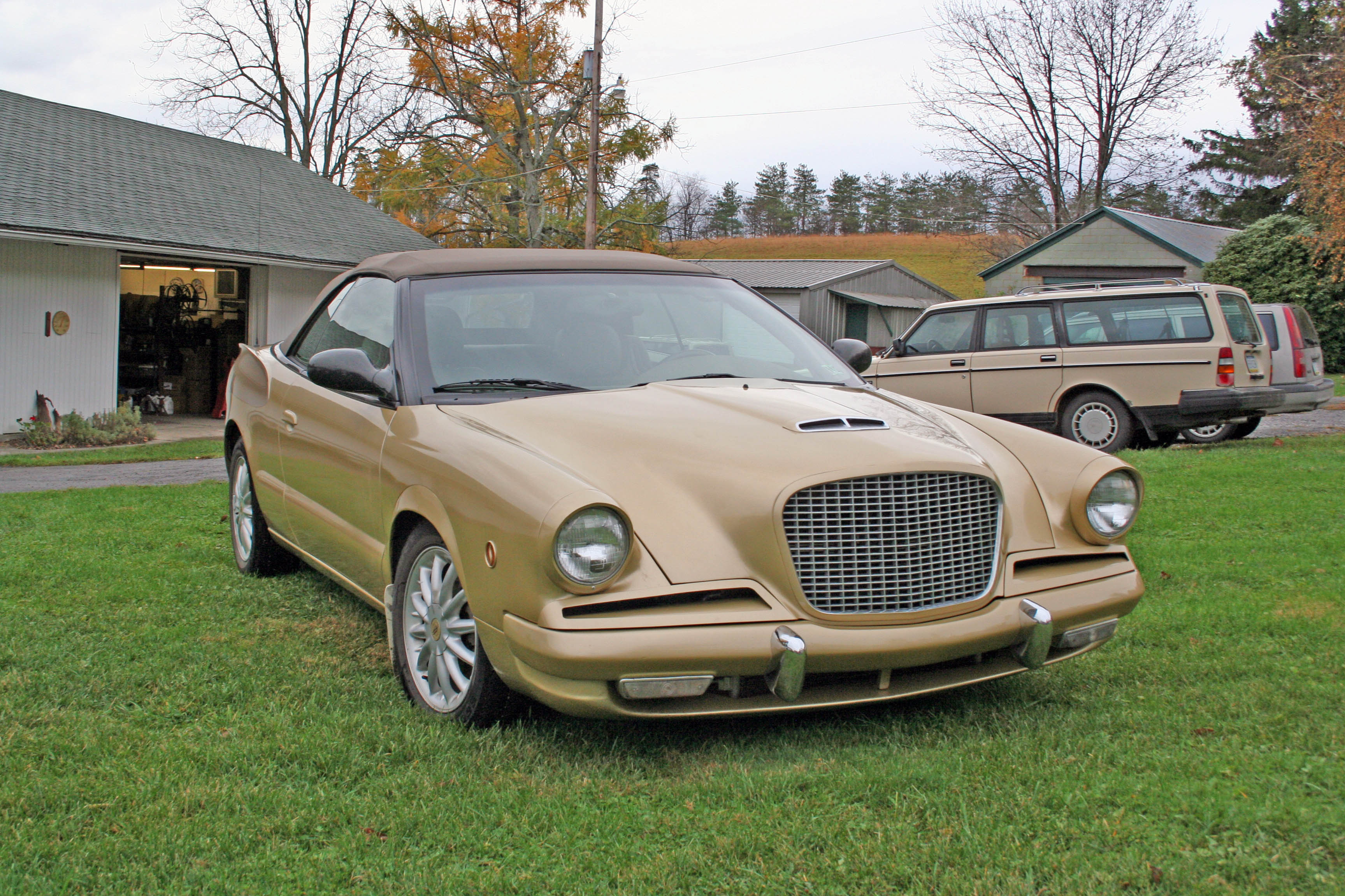 50th Anniversary Hawk - badge