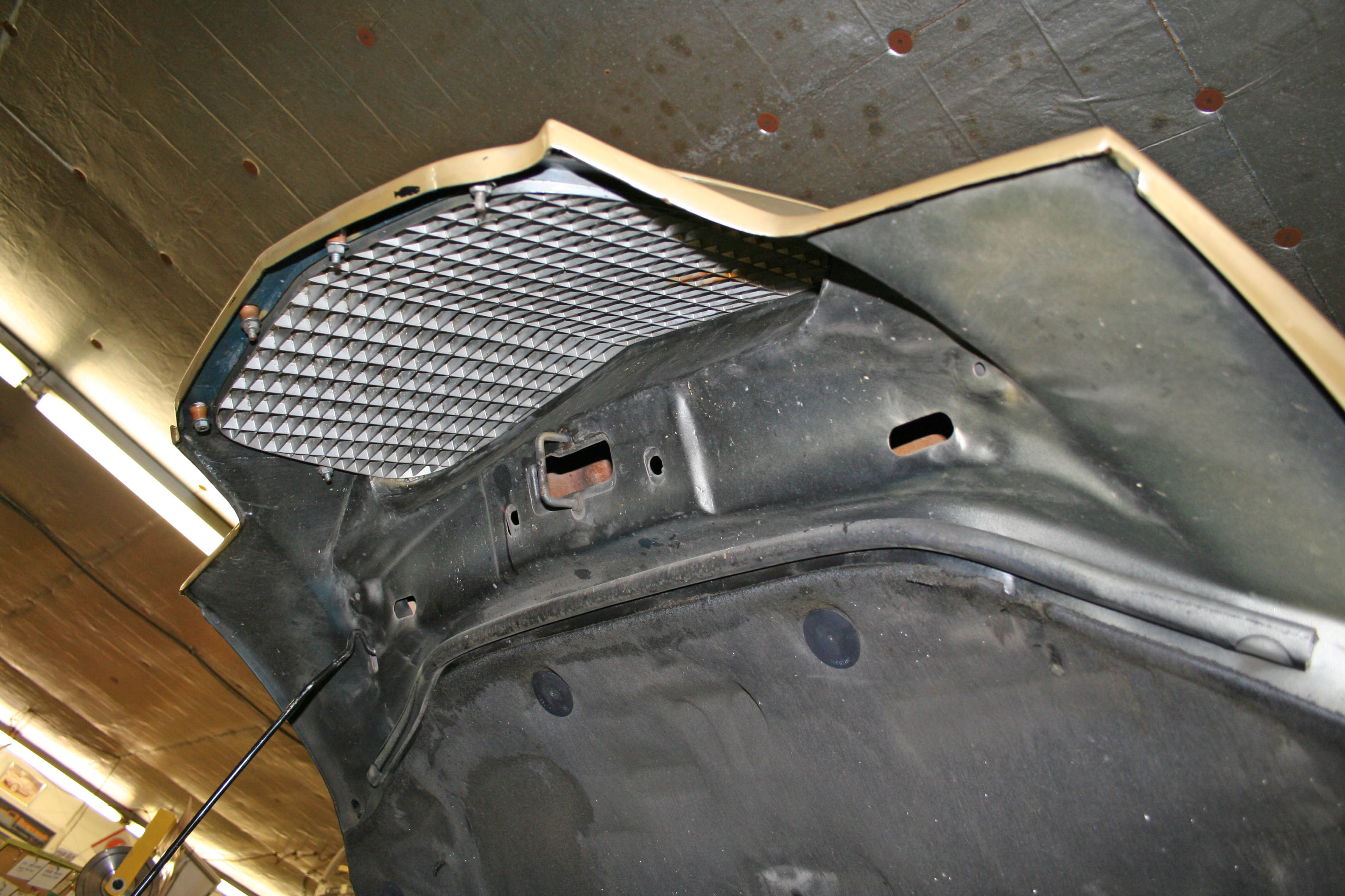 50th Anniversary Hawk - rear quarter