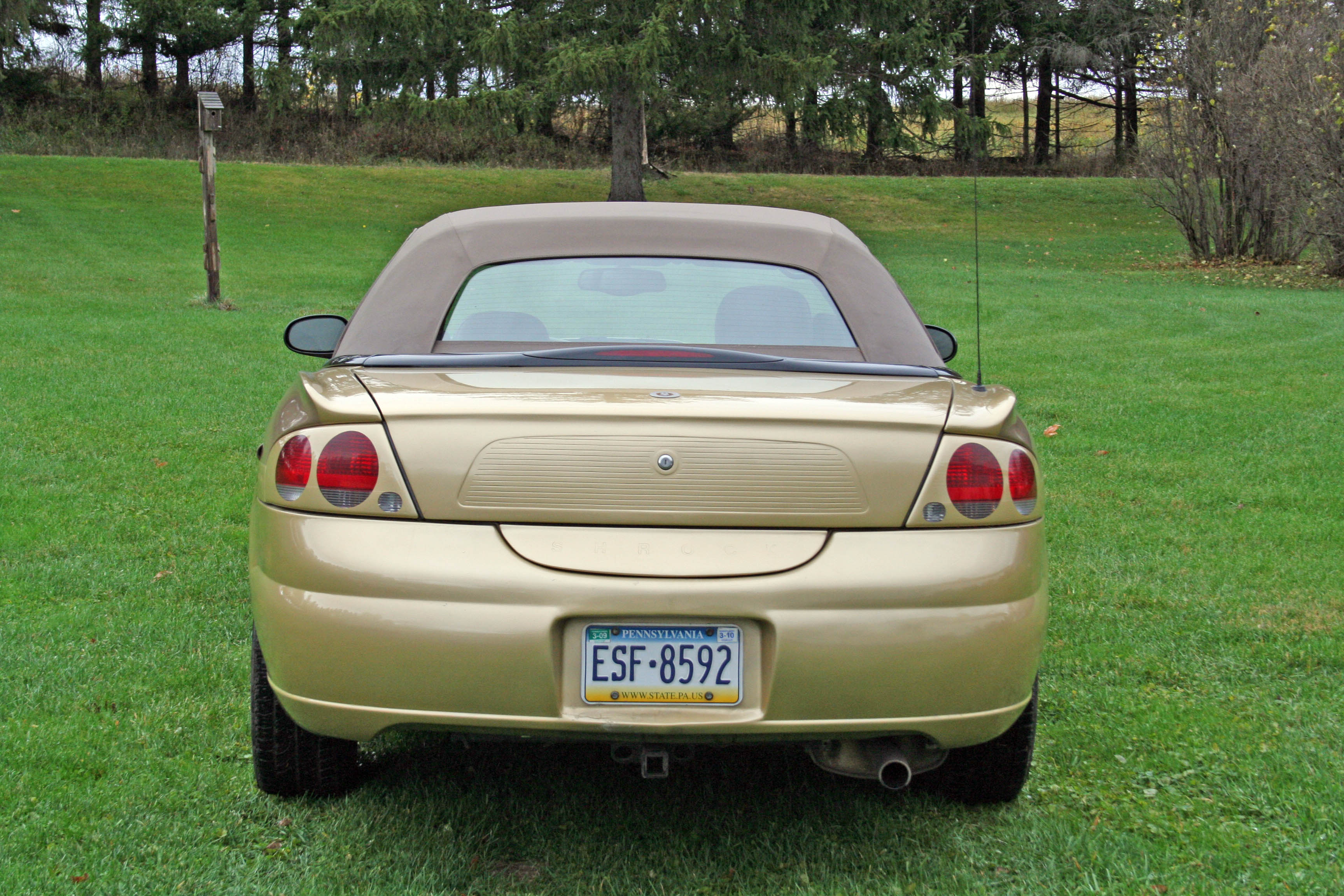 50th_hawk_06b (1009K)